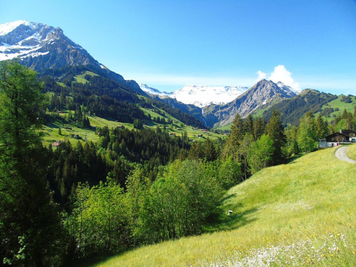 Appartment Andrea Adelboden Zewnętrze zdjęcie