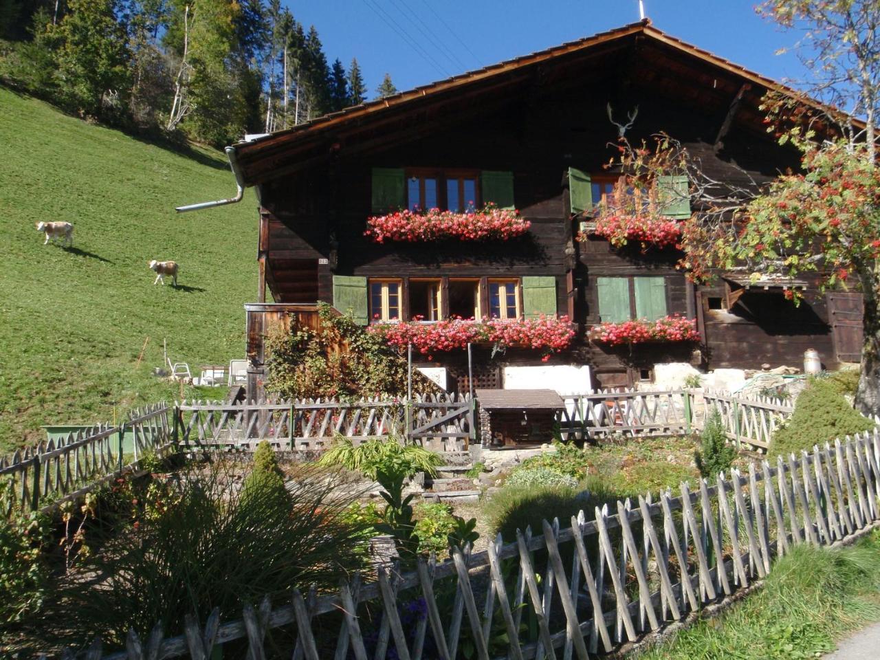 Appartment Andrea Adelboden Zewnętrze zdjęcie