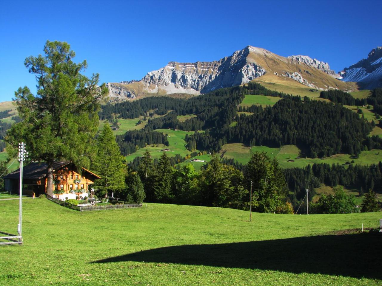 Appartment Andrea Adelboden Zewnętrze zdjęcie