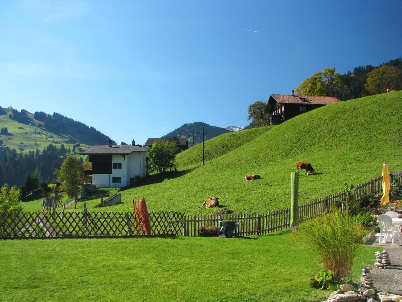 Appartment Andrea Adelboden Zewnętrze zdjęcie