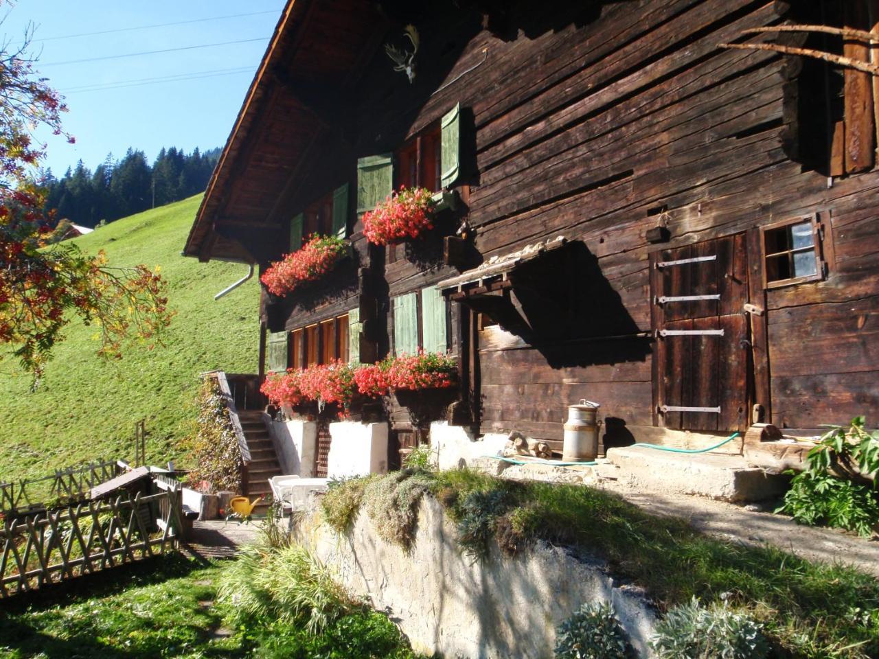 Appartment Andrea Adelboden Zewnętrze zdjęcie