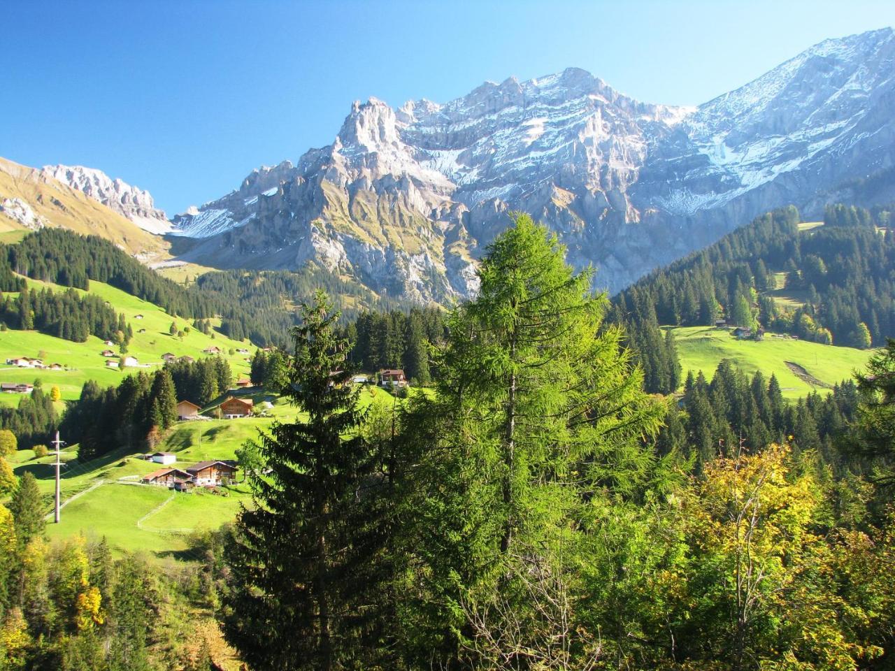 Appartment Andrea Adelboden Zewnętrze zdjęcie